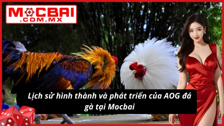 AOG Đá Gà Mocbai - Uy Tín, Kịch Tính, Thưởng Lớn Cực Đã 2 AOG đá gà cực đã có lịch sử phát triển lâu năm