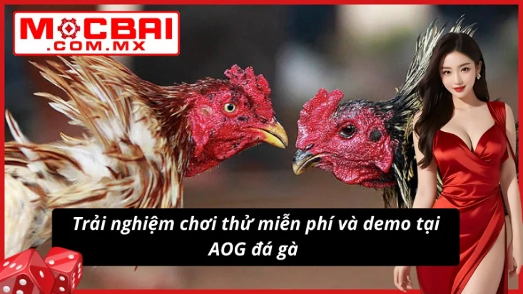 AOG Đá Gà Mocbai - Uy Tín, Kịch Tính, Thưởng Lớn Cực Đã 3 Chơi AOG đá gà lần đầu hoàn toàn được miễn phí