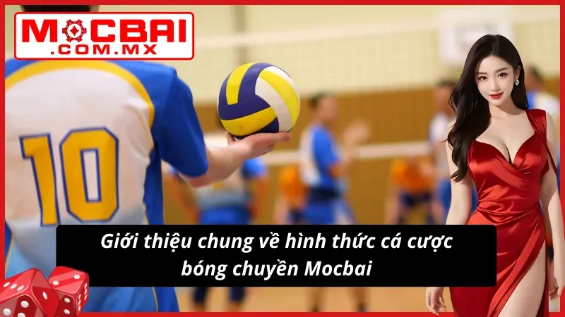 Bóng Chuyền Mocbai - Hình Thức Cá Độ Thể Thao Hot Nhất 2025 2 Giới thiệu về hình thức cá độ bóng chuyền siêu hot