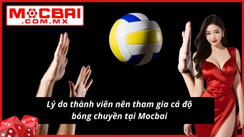 Bóng Chuyền Mocbai - Hình Thức Cá Độ Thể Thao Hot Nhất 2025 3 Lý do nên tham gia cá độ bóng chuyền tại website