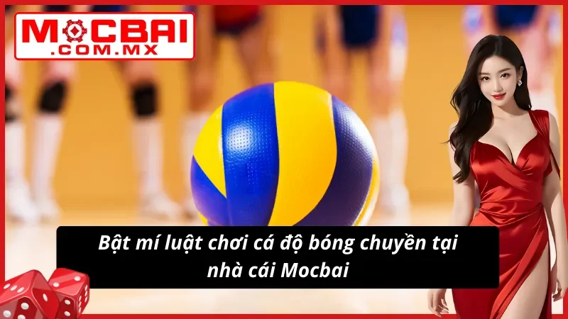 Bóng Chuyền Mocbai - Hình Thức Cá Độ Thể Thao Hot Nhất 2025 4 Bật mí luật chơi cá độ bóng chuyền tại nhà cái