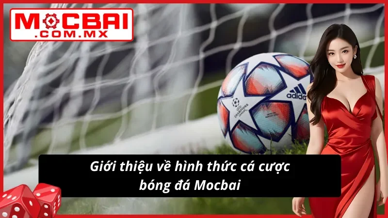 Bóng Đá Mocbai - Thiên Đường Giải Trí Uy Tín Dành Cho Newbie 2 Giới thiệu về hình thức cá cược bóng đá tại website