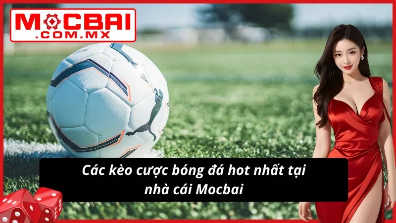 Bóng Đá Mocbai - Thiên Đường Giải Trí Uy Tín Dành Cho Newbie 5 Các kèo cược bóng đá hot nhất tại nhà cái