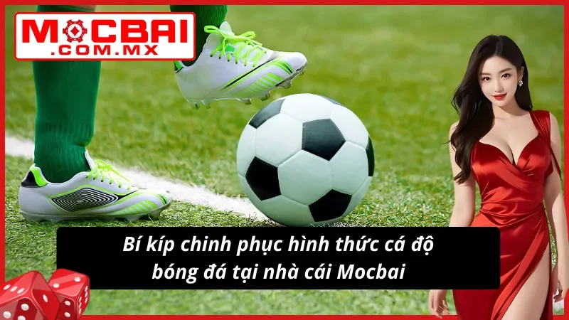 Bóng Đá Mocbai - Thiên Đường Giải Trí Uy Tín Dành Cho Newbie 7 Bí kíp chinh phục hình thức cá độ bóng đá cực dễ