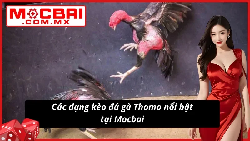 Đá Gà Thomo Mocbai: Xem Live Dễ Dàng Vào Kèo Không Giới Hạn 4 Đa dạng phân loại kèo Đá Gà Thomo đặc sắc