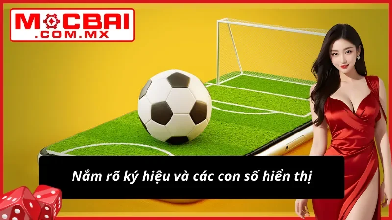 Kèo Châu Âu Mocbai- Đích Đến Chiến Thắng Cho Tín Đồ Thể Thao 4 Tìm hiểu con số hiển thị và ký hiệu rõ ràng trên bảng kèo châu Âu