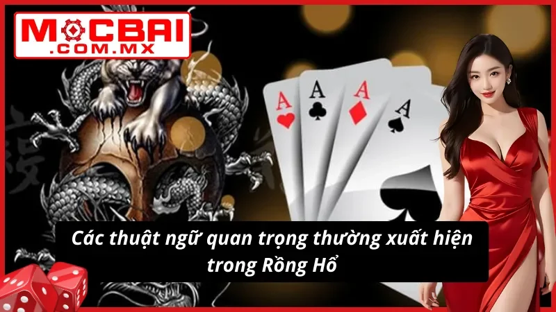 Rồng Hổ Mocbai - Giải Mã Bí Ẩn Trò Chơi Bài Đỉnh Cao 3 Thuật ngữ trong game Rồng Hổ dễ thấy dễ hiểu