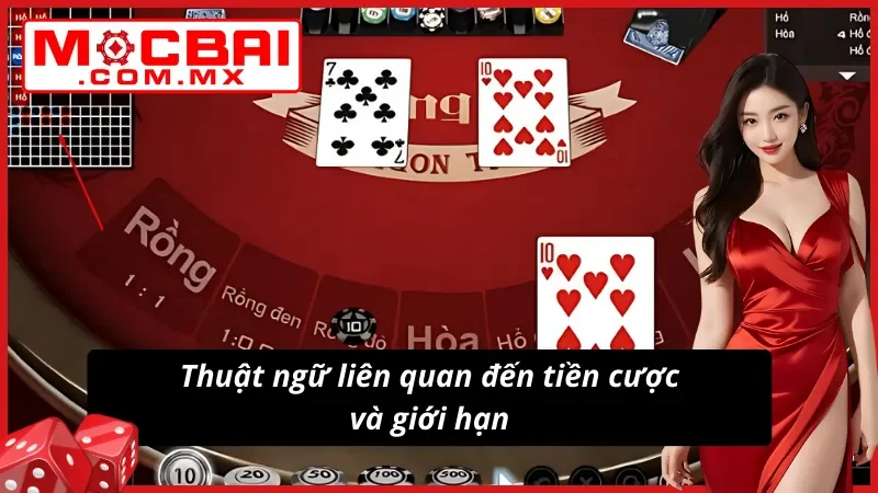 Rồng Hổ Mocbai - Giải Mã Bí Ẩn Trò Chơi Bài Đỉnh Cao 4 Thuật ngữ Rồng Hổ phong phú vẫn mang tính đơn giản