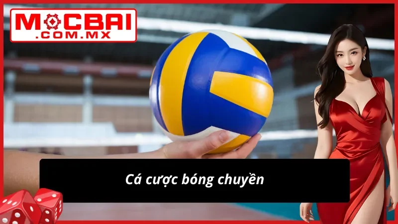 SBOBET Sports Mocbai - Sảnh Thể Thao Hot Nhất Mọi Thời Đại 5 Cá cược bóng chuyền cực đỉnh tại SBOBET Sports