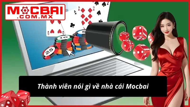 Thương Hiệu Mocbai - Nơi Cá Cược Lý Tưởng Nhất Năm 2025 4 Những nhận xét tích cực về thương hiệu